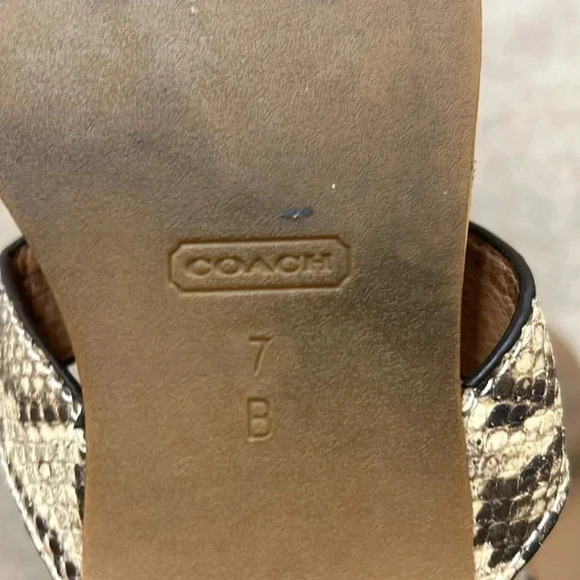 Coach  flip flop - Picture 5 of 5